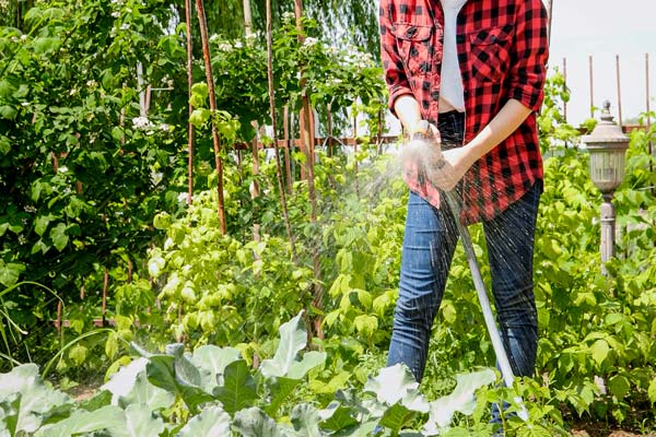 The function of garden water gun